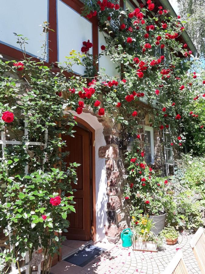 Ferienhaus Burgblick Münzenberg Dış mekan fotoğraf